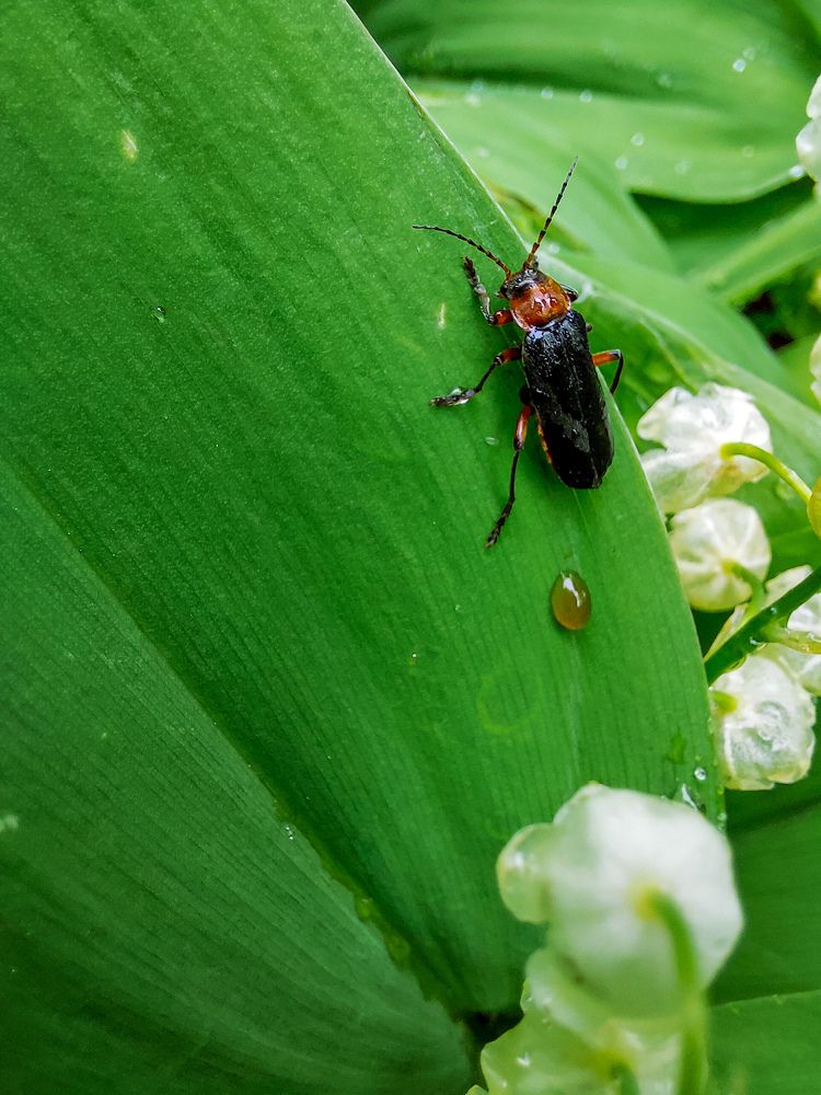 Photograph by Светлана Шиляева