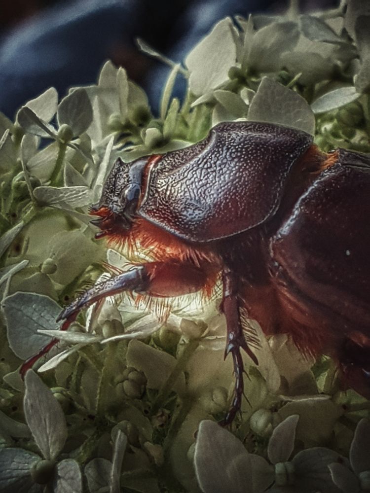 Photograph by Нина Москалёва