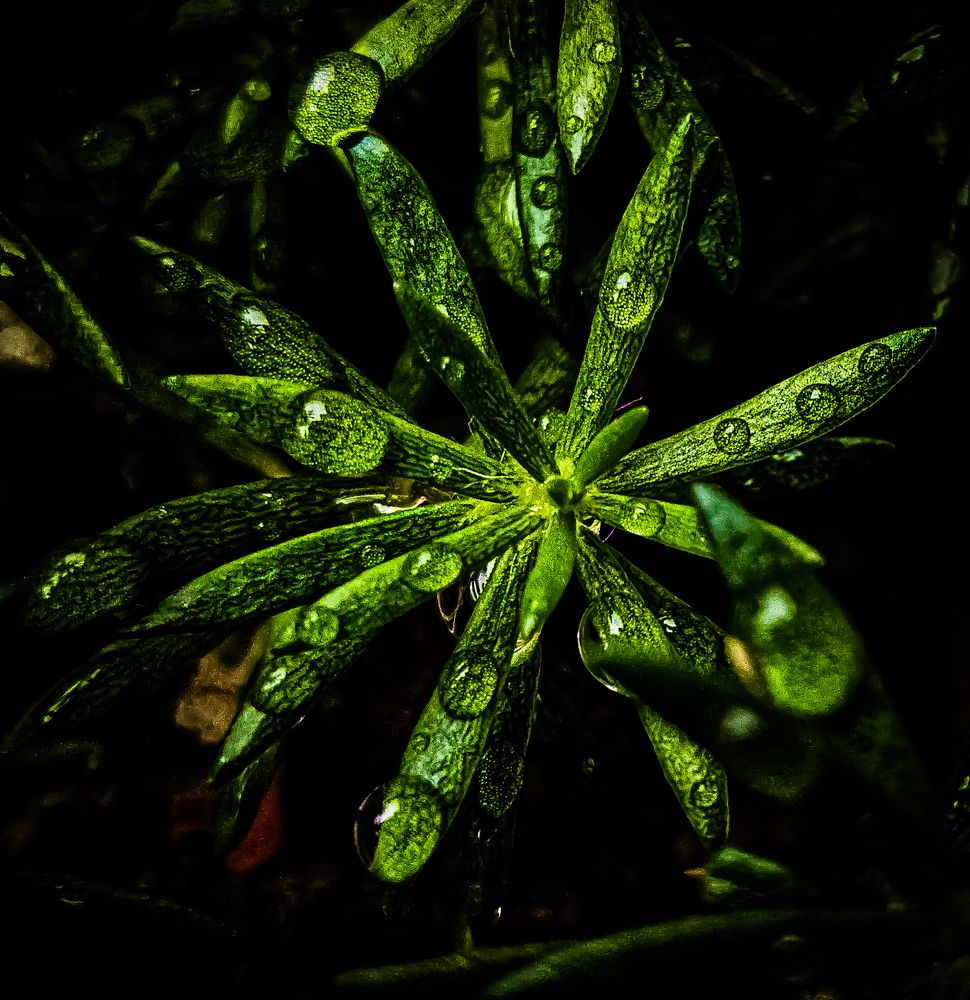 Photograph by Abner Moses Yasir Hussain