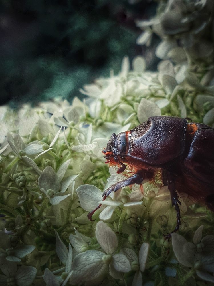 Photograph by Нина Москалёва