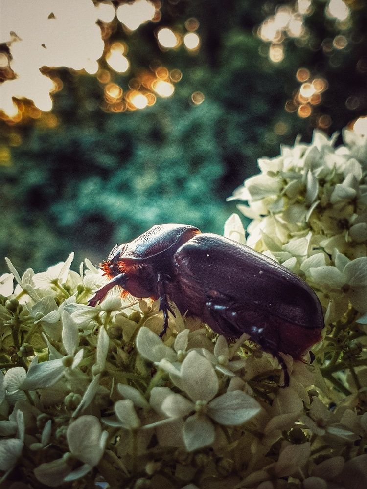 Photograph by Нина Москалёва