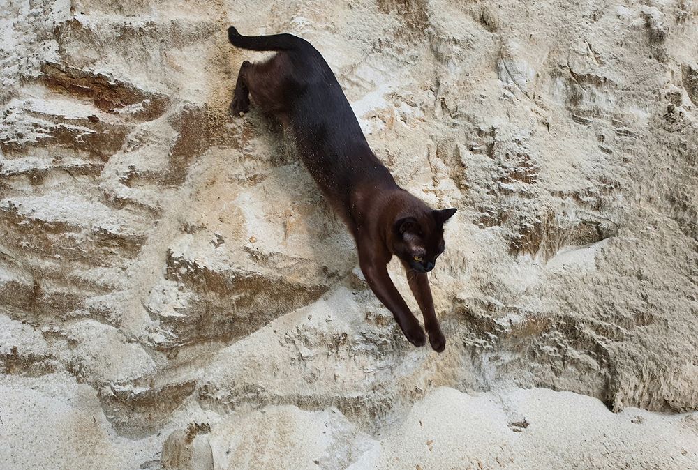 Фотография автора Надежда Лисицына