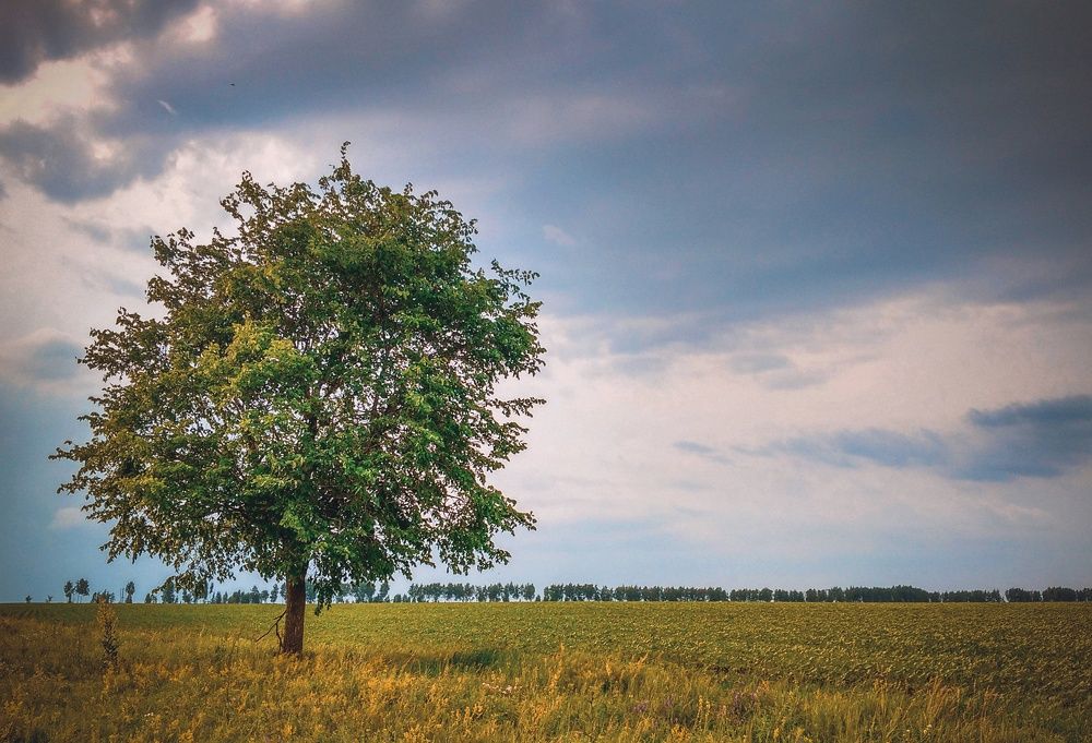 Photograph by Владимир Фролов