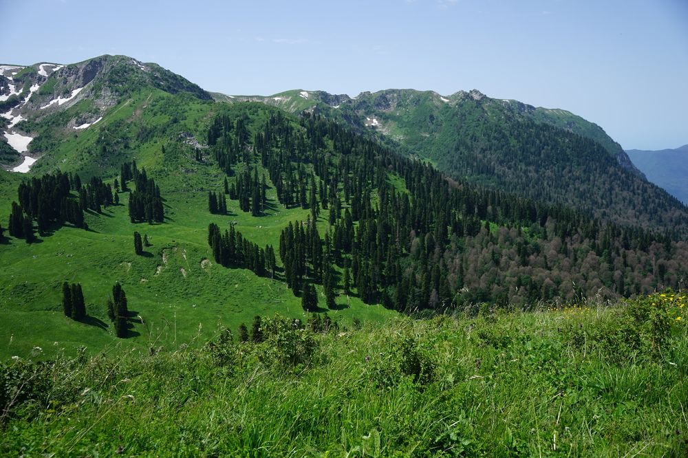 Photograph by Прохоров Алексей