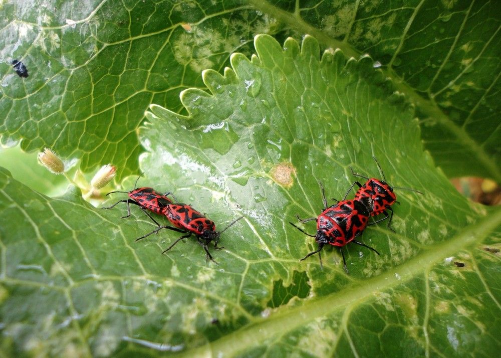 Photograph by Дмитрий Соколов