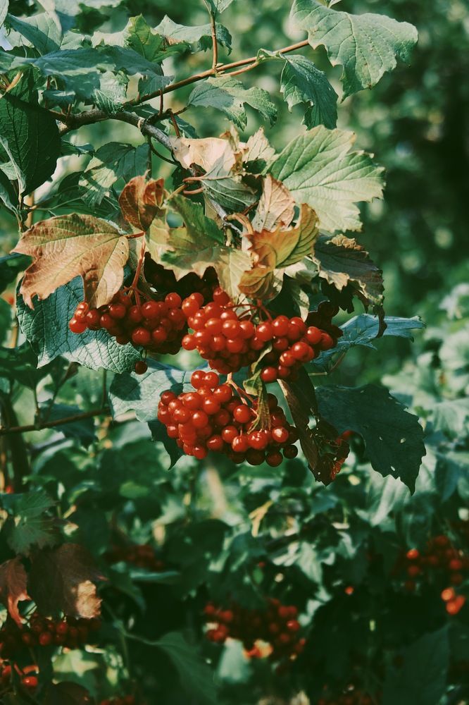 Photograph by Сергей Бойко