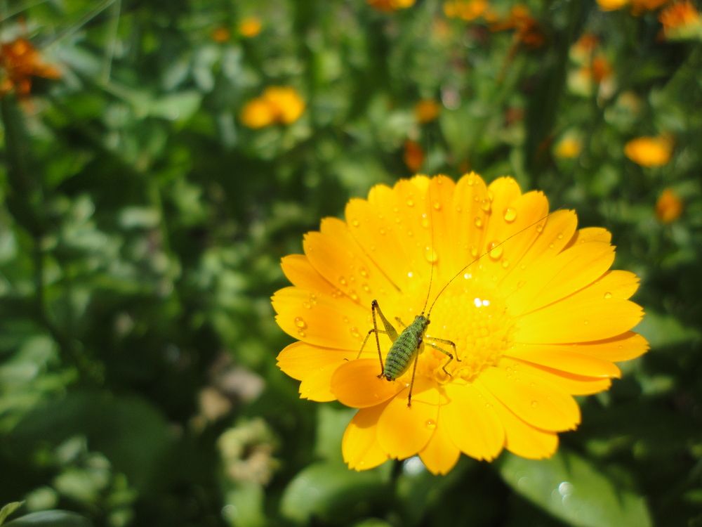 Photograph by Дмитрий Соколов