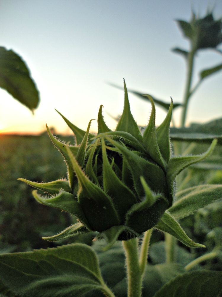 Photograph by Дмитрий Соколов