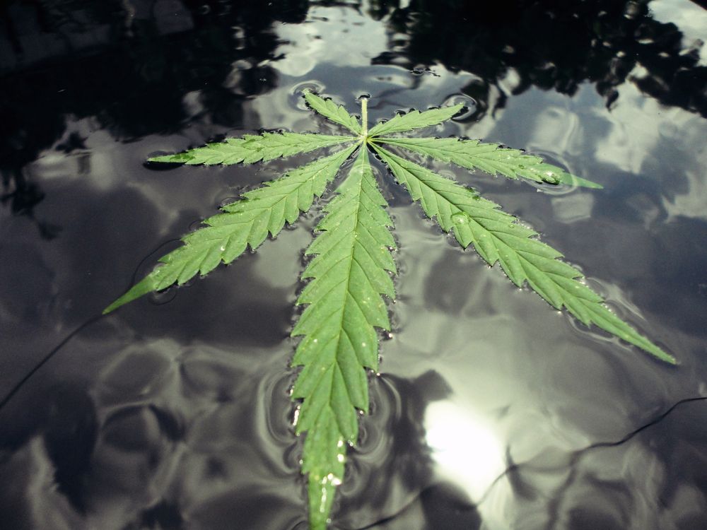 Photograph by Дмитрий Соколов