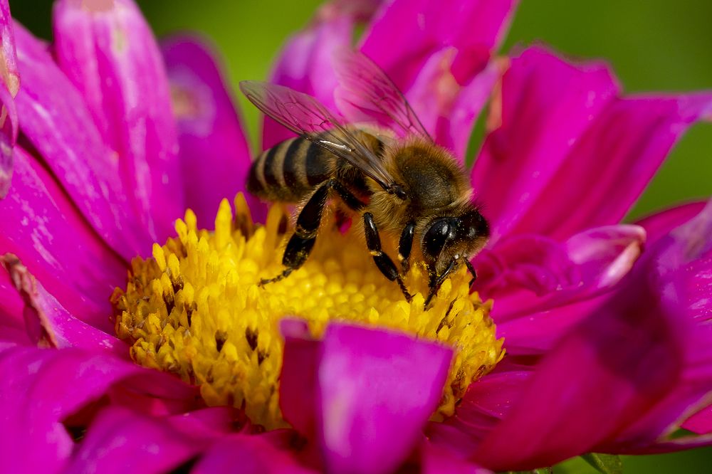 Photograph by Олег Тетерин