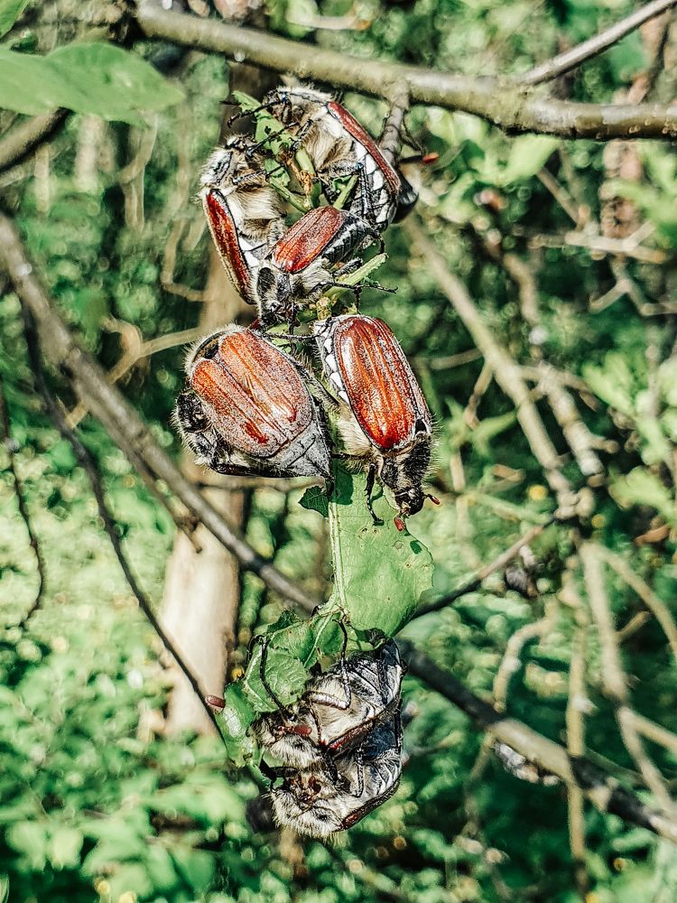 Photograph by Liudmila Kirillova