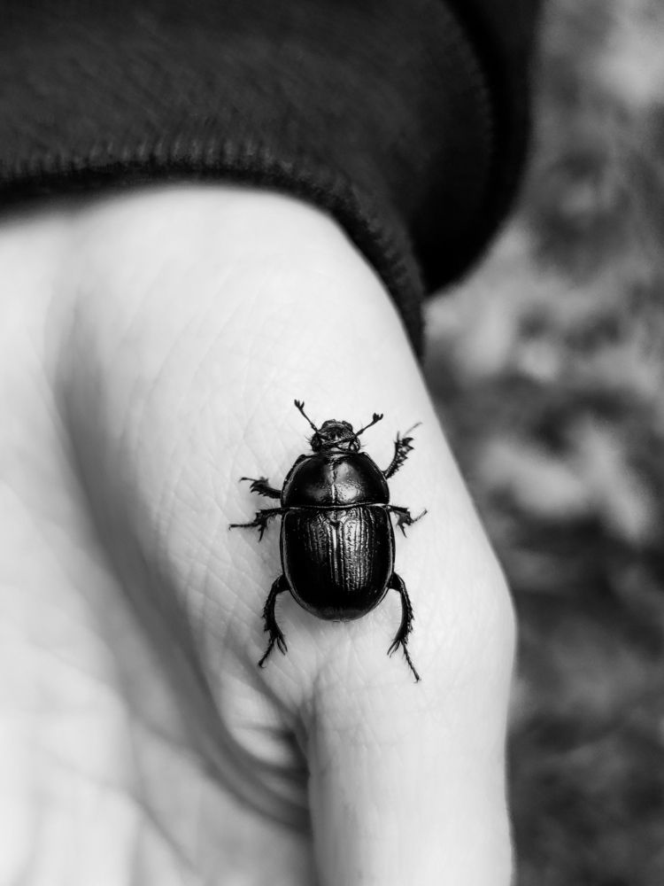 Фотография автора Наталья Силантьева