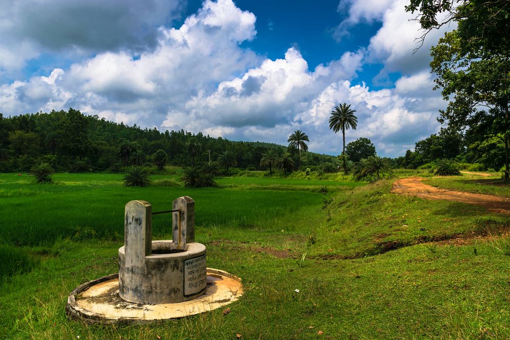 Фотография автора Dipayan Biswas