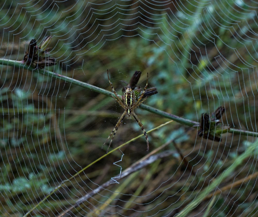 Photograph by Олег Башкуров