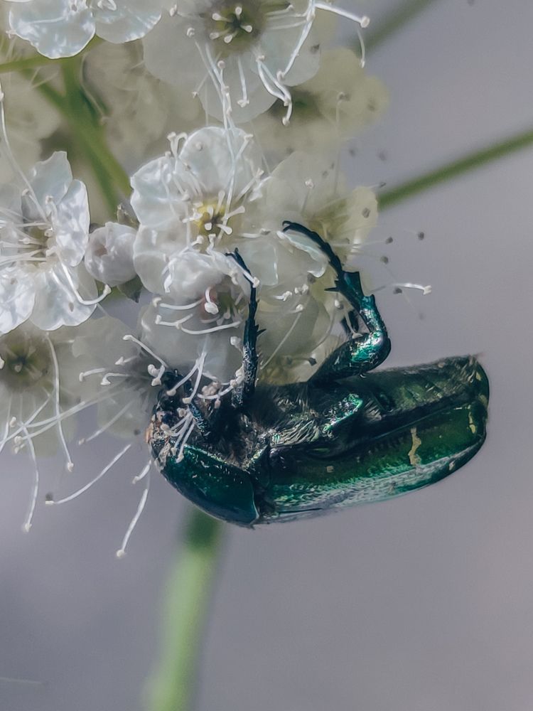 Фотография автора Наталья Силантьева