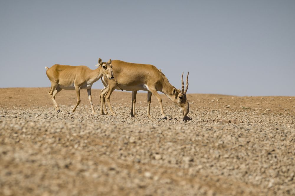 Photograph by Светлана Барабанщикова