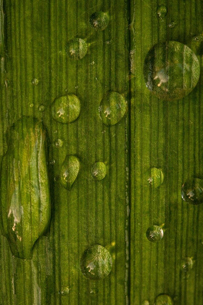 Photograph by Светлана Мухильченко