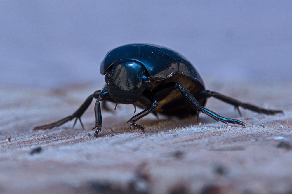 Photograph by Evita Juseviča