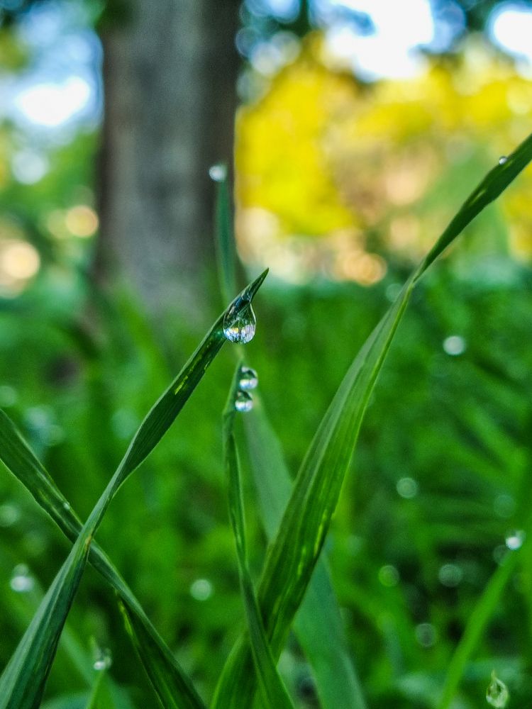 Photograph by Андрей Баталов