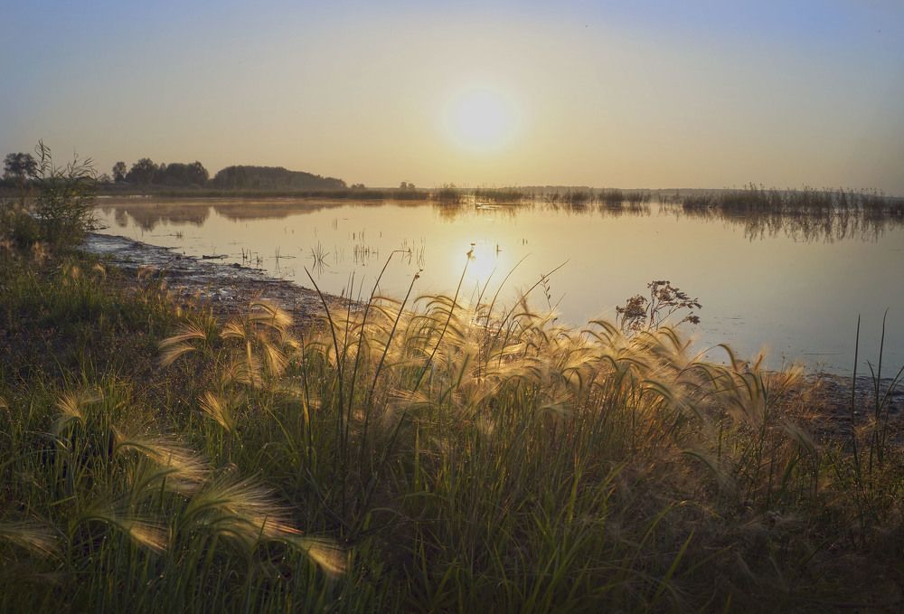 Photograph by Мишустина Татьяна