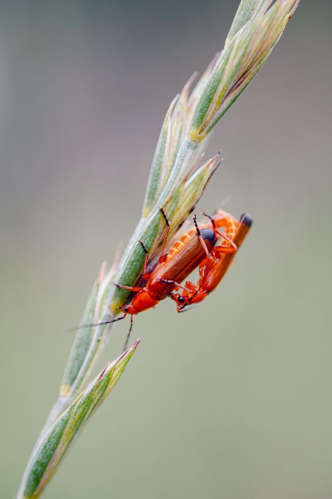 Photograph by Александр Казак