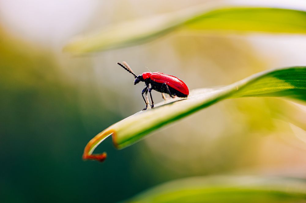 Photograph by Александр Казак