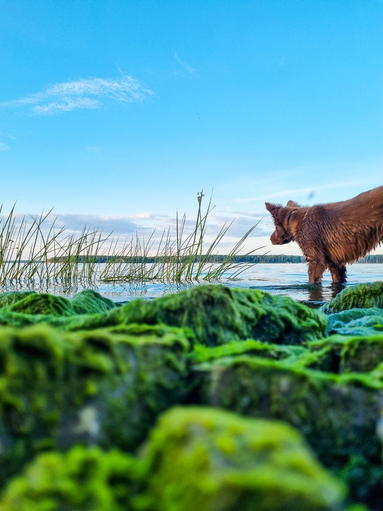 Photograph by Андрей Баталов