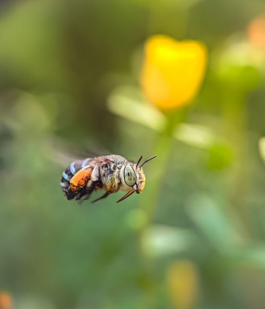 Photograph by Bistupada Mondal