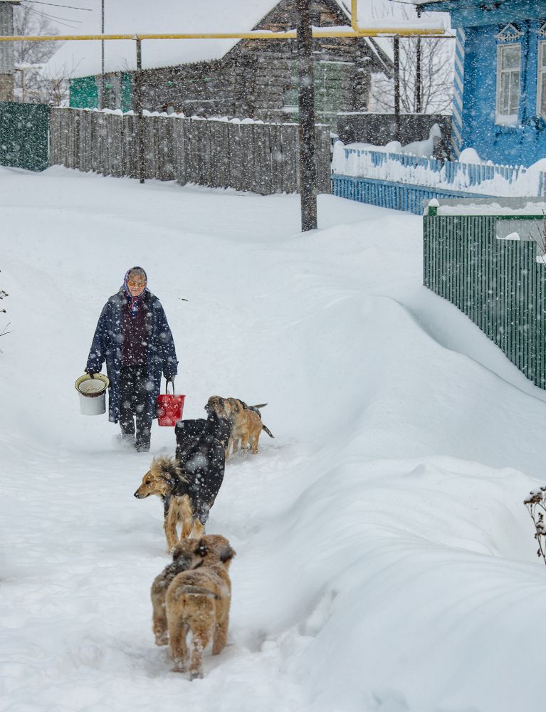 Photograph by Юлия Евграфова