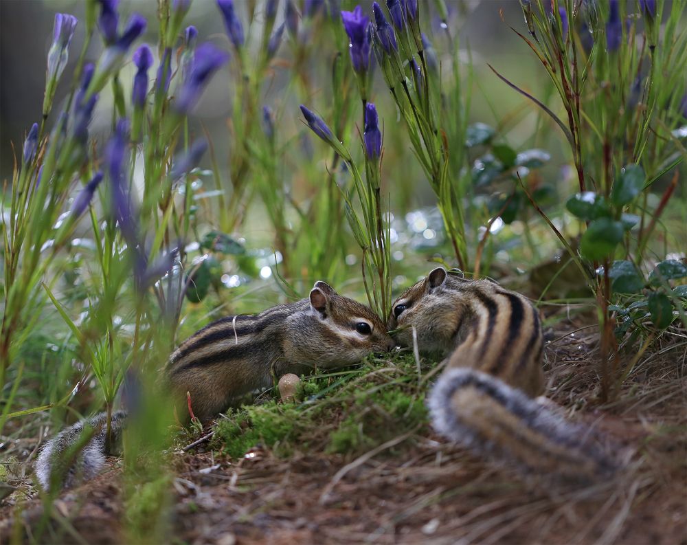 Photograph by Евгения Левина