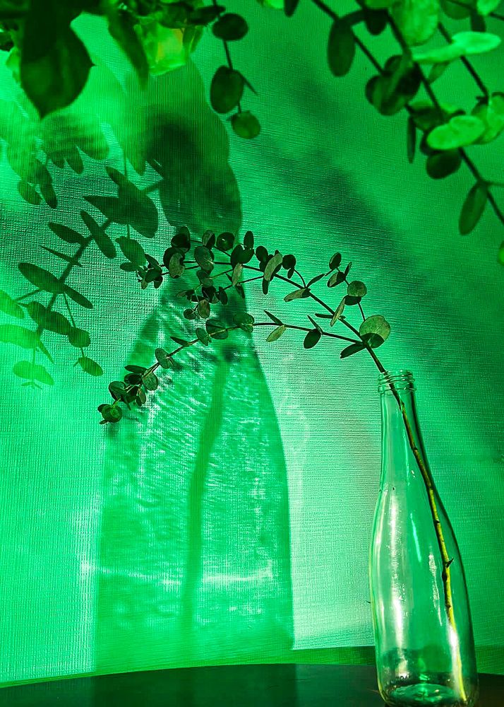 Photograph by Катя Филиппова