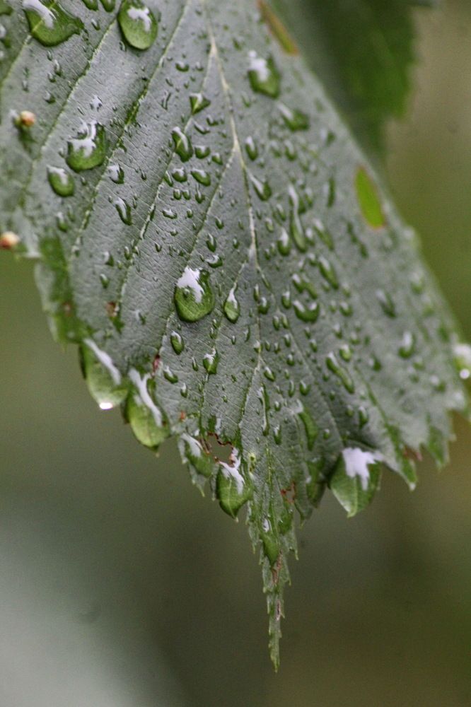 Photograph by Николай Николаевич Леухин