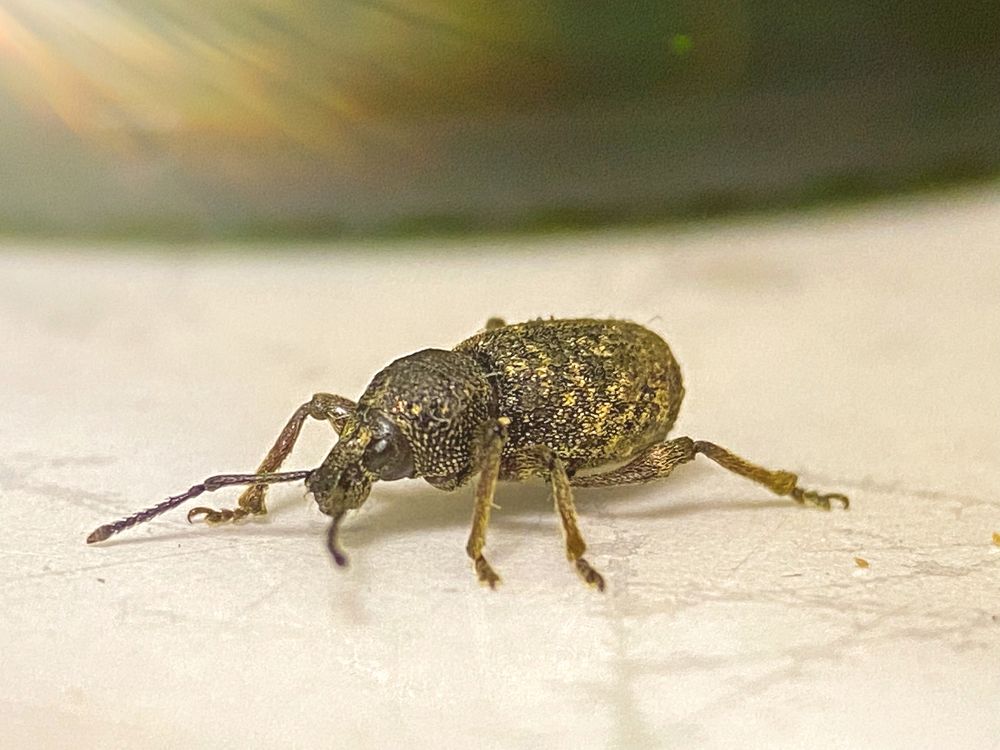 Photograph by Александра Гонтарь