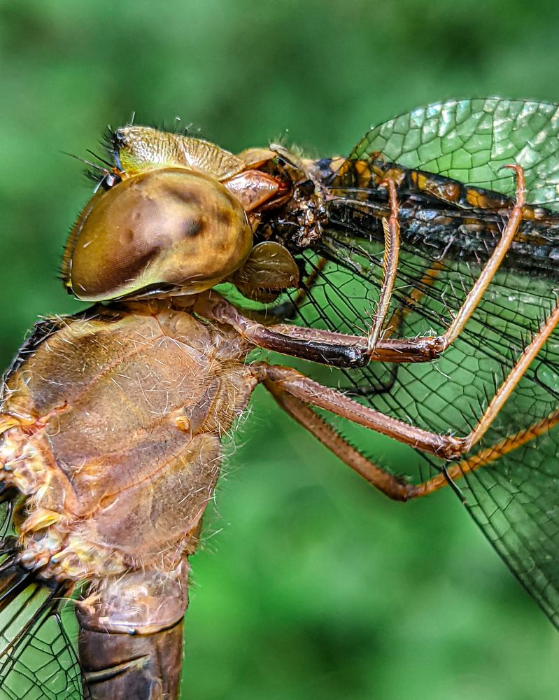 Photograph by Vaishnav K V