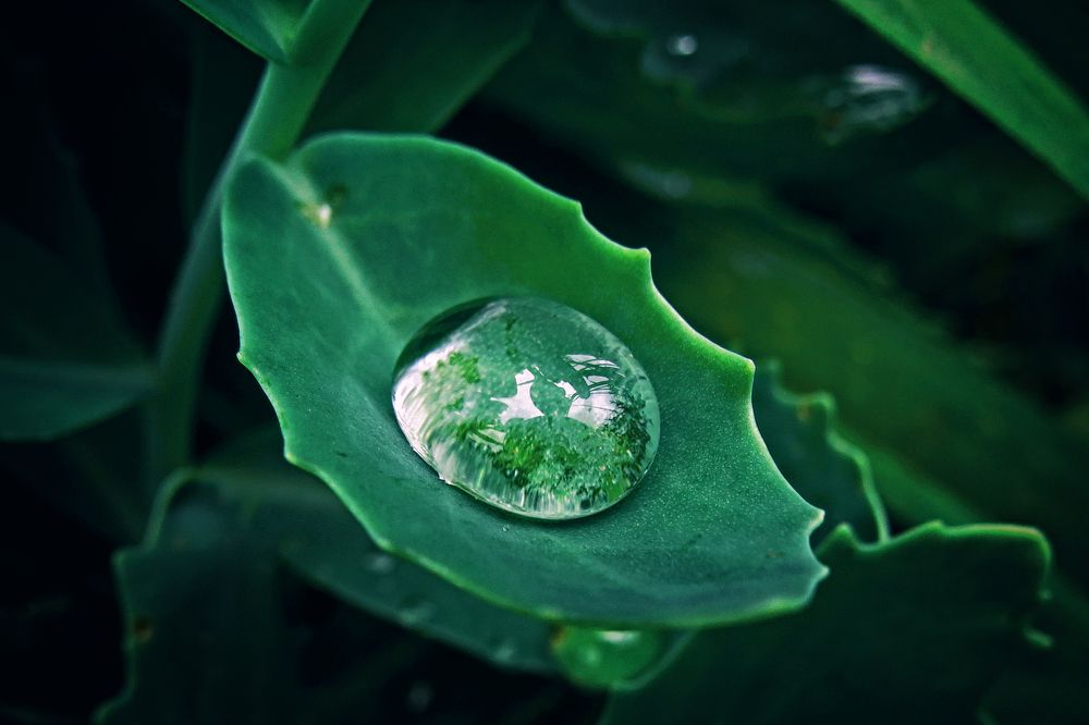 Photograph by Наташа Фишер