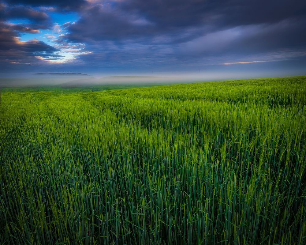 Photograph by Alberto Alonso