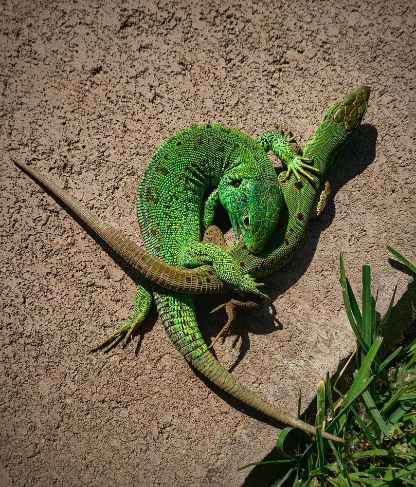 Photograph by Татьяна Семёнова