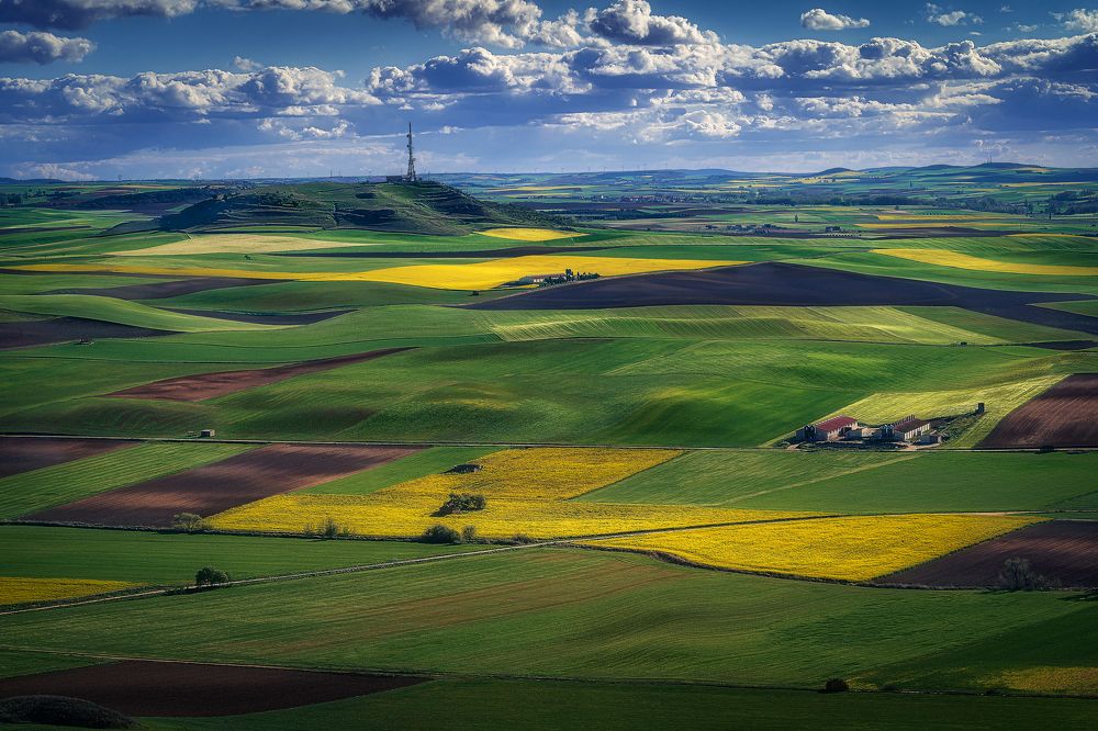 Photograph by Alberto Alonso