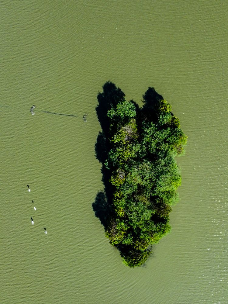 Photograph by kallyan kundu