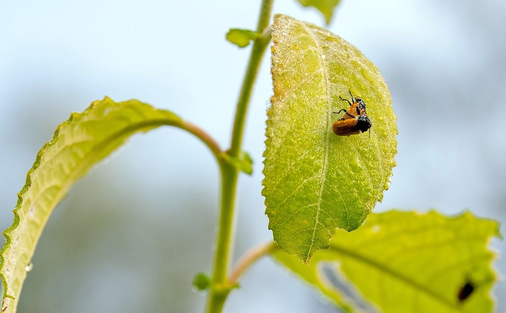 Photograph by Валерий Клейменов