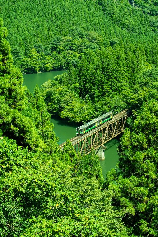 Photograph by Phùng Minh Long