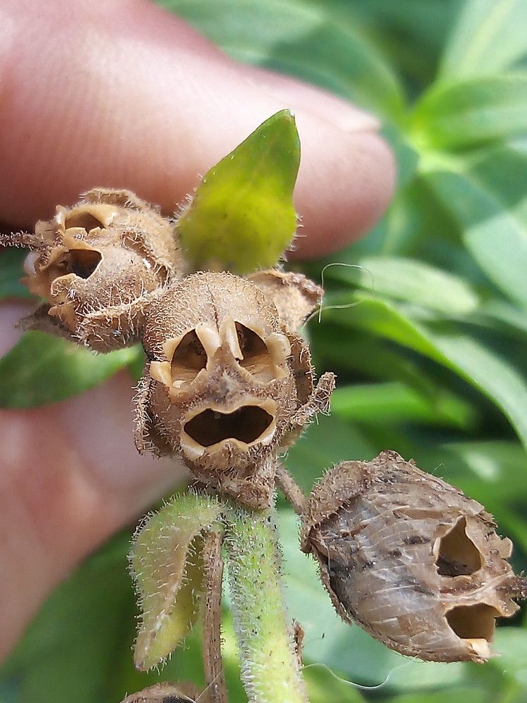 Photograph by Елена