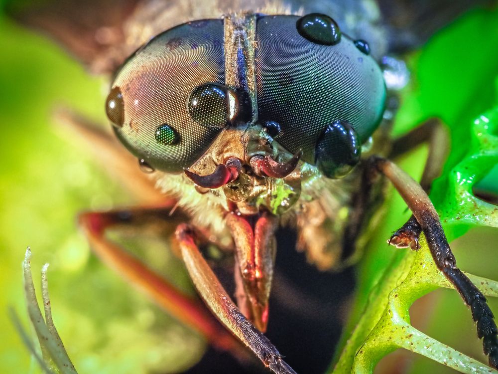 Photograph by Olga Link