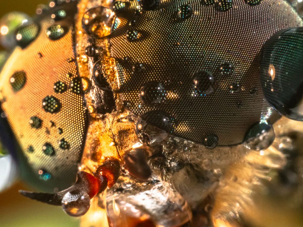 Photograph by Olga Link