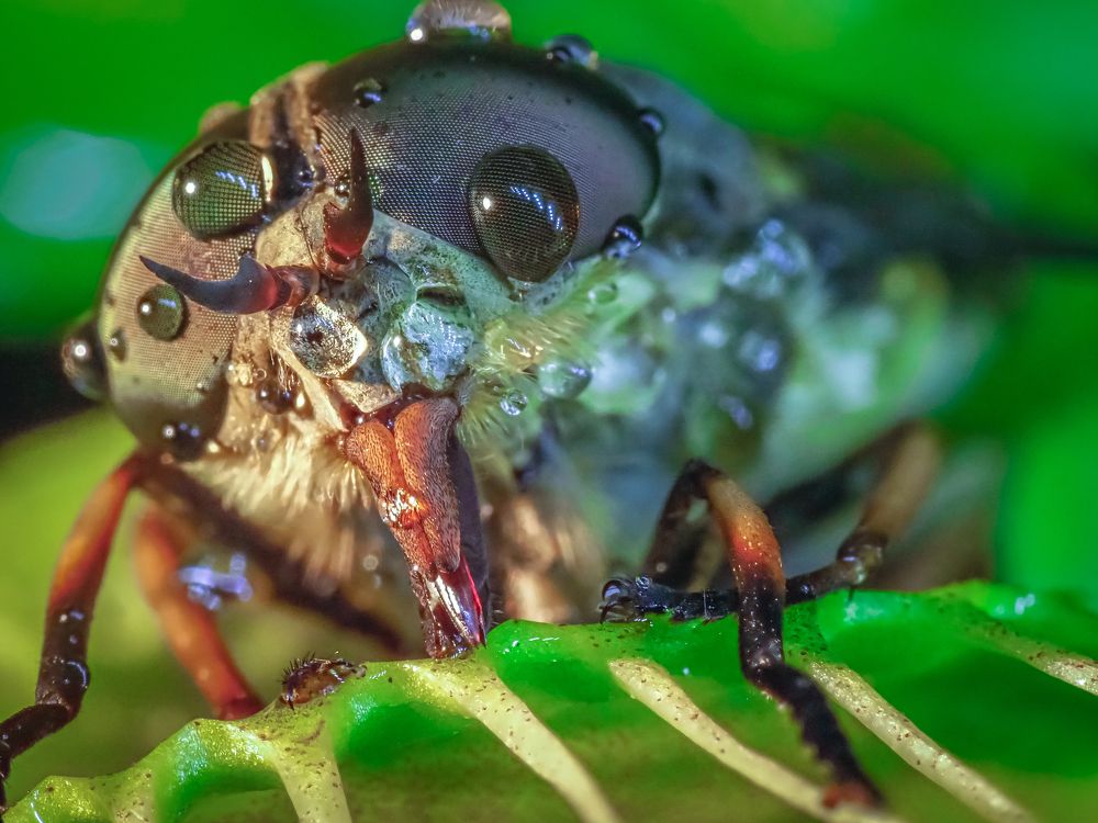 Photograph by Olga Link