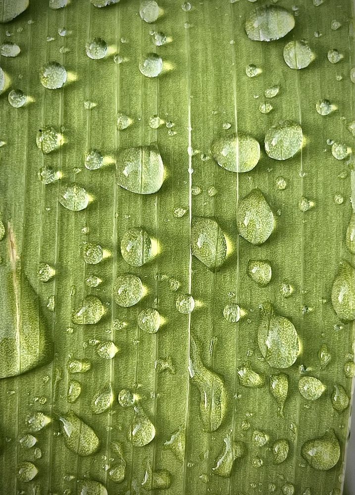 Photograph by Мария Ковригина