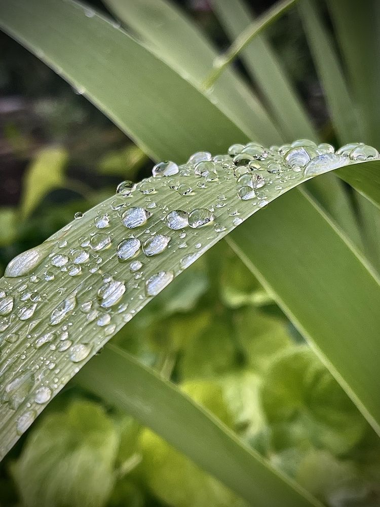 Photograph by Мария Ковригина