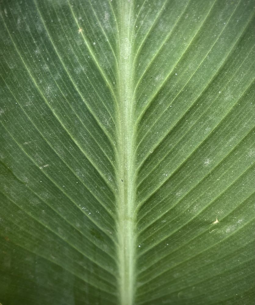 Photograph by Мария Ковригина