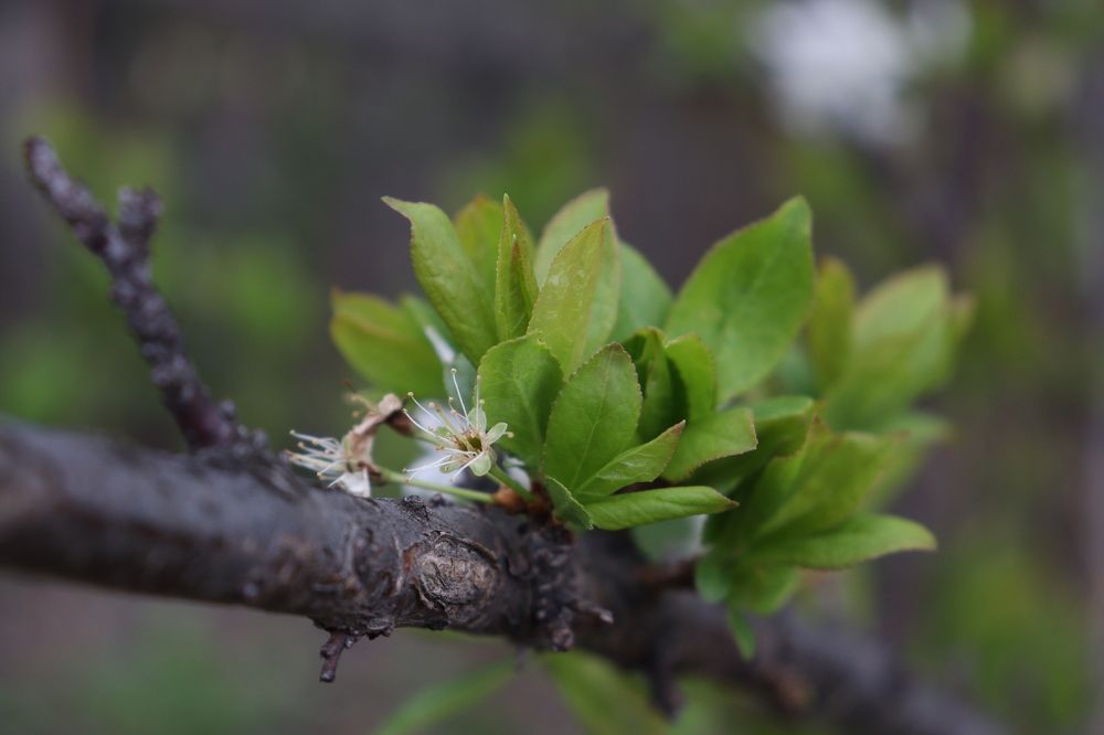 Photograph by Наталья Мотрий