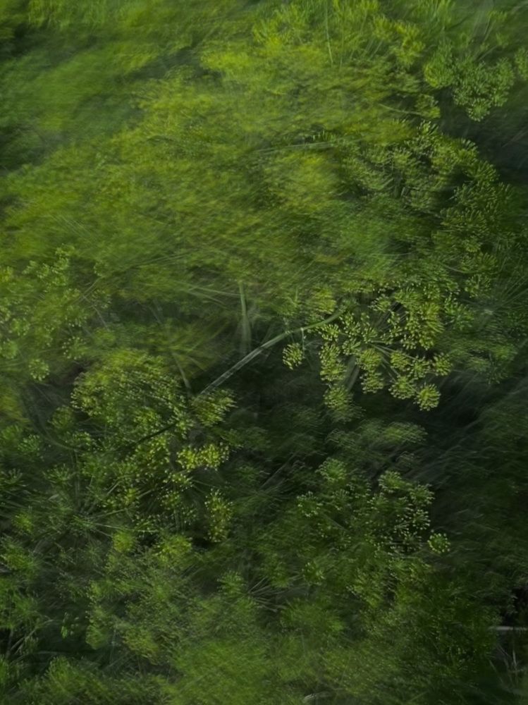 Photograph by Ольга Зуева